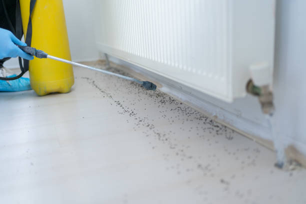 Best Pest Exclusion Services  in Valparaiso, IN